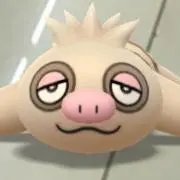 たかちゃんの画像