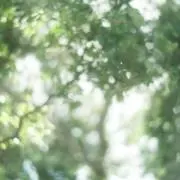 meの画像