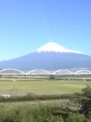 こうりんの画像