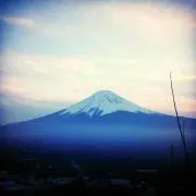 こうなりの画像
