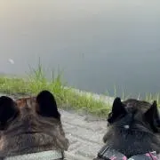 mimimi.