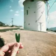 にぎ