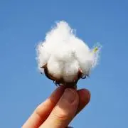 小さい専門屋　(土曜日、日曜日発送不可)の画像