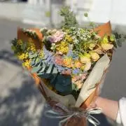saの画像