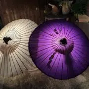 綾音- ̗̀☾⋆  ̖́-の画像