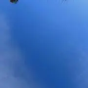 稍の画像