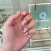 かねこの画像