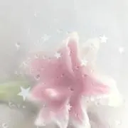 にえの画像