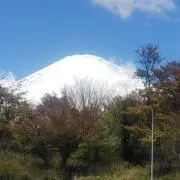 みっちの画像