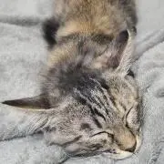 そらいろ【プロフご確認ください】の画像
