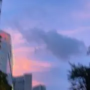 も