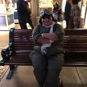 飛べない豚の画像