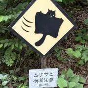 たみや【発送まで1週間】の画像