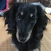 ⭐︎チーチロ⭐︎
