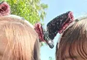 メロンパンの画像