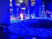 アローの画像