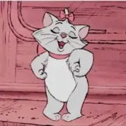 こちゃんの画像