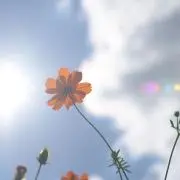 Iの画像