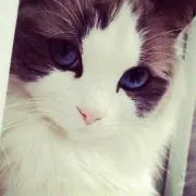 みあ
