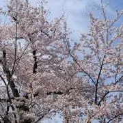 じぇんず