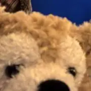 knの画像