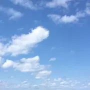 きなこの画像