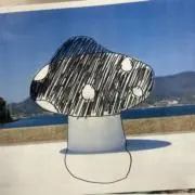 柳