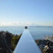 SDCAの画像