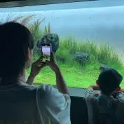 YKの画像