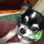 あきあき☆