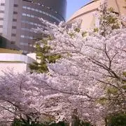Yuka＊＊＊の画像
