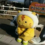 ゆっけちん