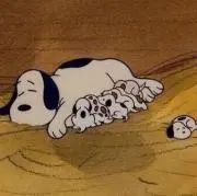 ねこぜ。の画像