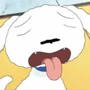Yの画像