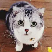ミチル