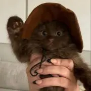 mmの画像