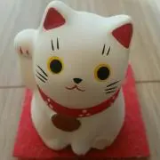mamの画像