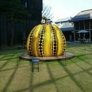 shu-meiの画像