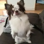 マーク