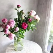 mimiの画像