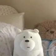 さかなの画像