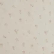 古着販売の画像