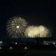 ご当地キティ 千葉 房総限定 菜の花 マスコット ぬいぐるみ - メルカリ