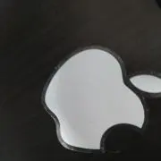柴抱え歩き