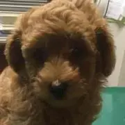 そら