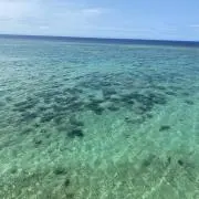 miiiioの画像