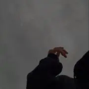 yの画像