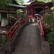 出品者レベル9の画像