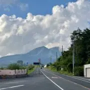 neko22の画像