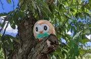 ポケモンぬいぐるみ帝国の画像